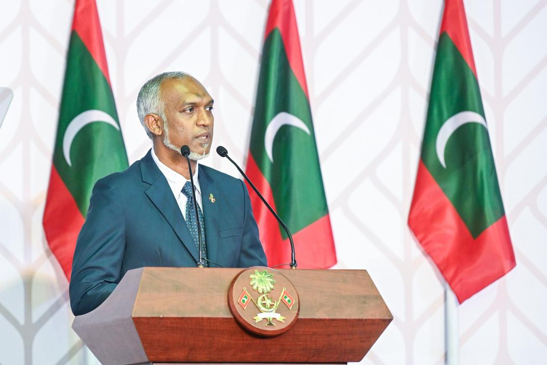 ޖަރުމަނުވިލާތުގެ އެއްބައިވަންތަކަމުގެ ދުވަހުގެ ތަހުނިޔާ ރައީސް ވިދާޅުވެއްޖެ