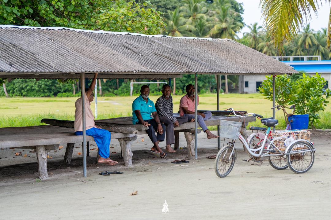 ބަޖެޓް 2025: ސަބްސިޑީ އޭގެ ޙައްޤުވެރިންނަށް