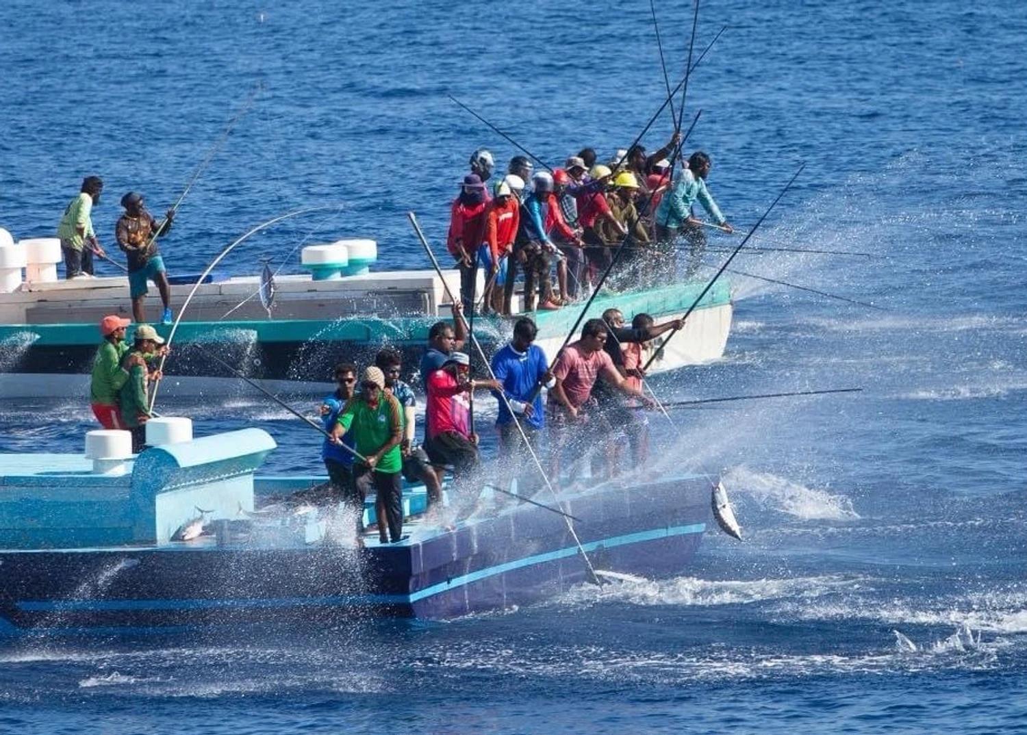 Payments to Fishermen Processed Within 48 Hours, Fulfilling Presidential Pledge