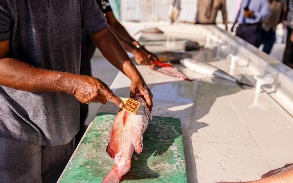 ފަރުމަސްވެރިކަމަށް ދޫކުރާ ލޯނު 37 ފަރާތަކަށް، ލޯނު ދެއްކުމަށް 10 އަހަރު 