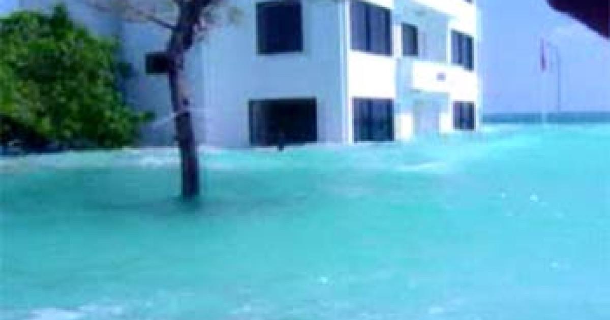 ސުނާމީގެ ހަނދާންތައް 