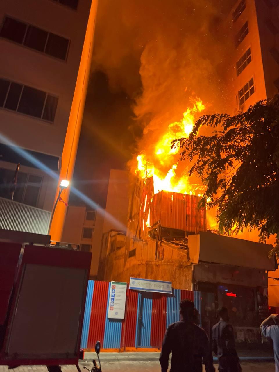 ފުރުޓް ޓްރީ އެޕަލް ފިހާރަ ގުދަނުގައި ރޯވި އަލިފާން -- ފޮޓޯ: އެމްއެންޑީއެފް