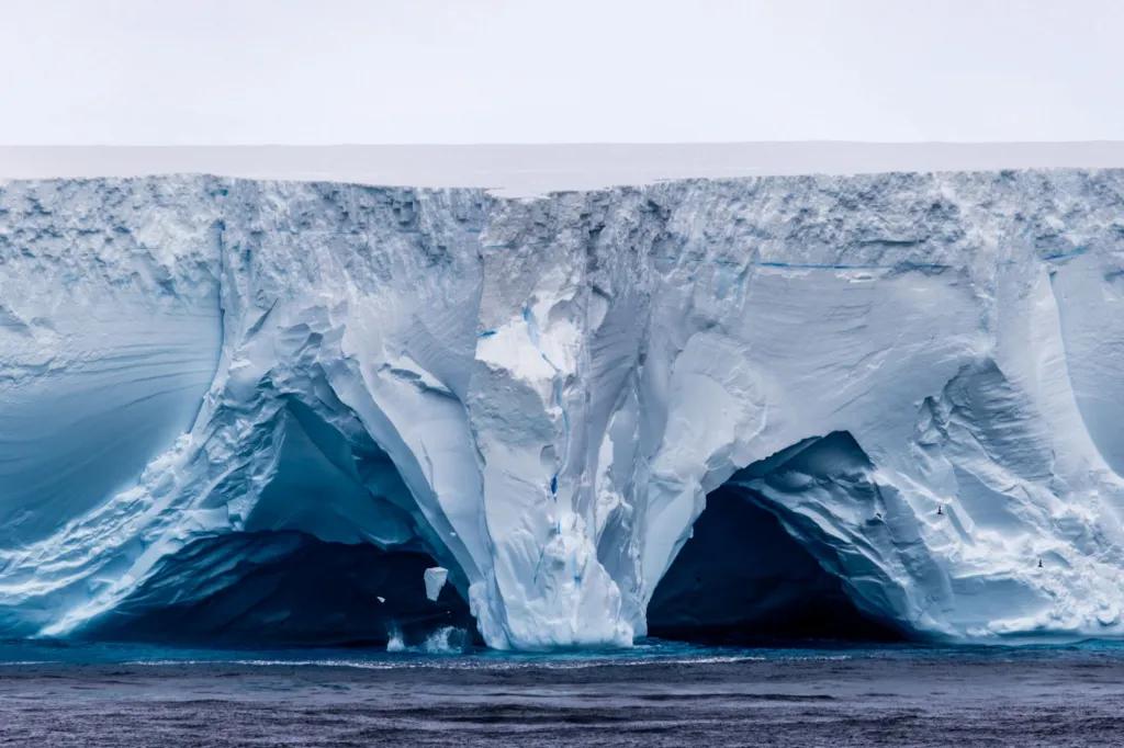 Giant Iceberg A23a on Collision Course with South Georgia, Threatening Penguins and Seals