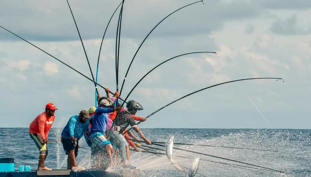 ޒުވާނުން މަސްވެރިކަމަށް ޝައުގުވެރިކުރުވަން ޚާއްސަ ޕްރޮގްރާމެއް