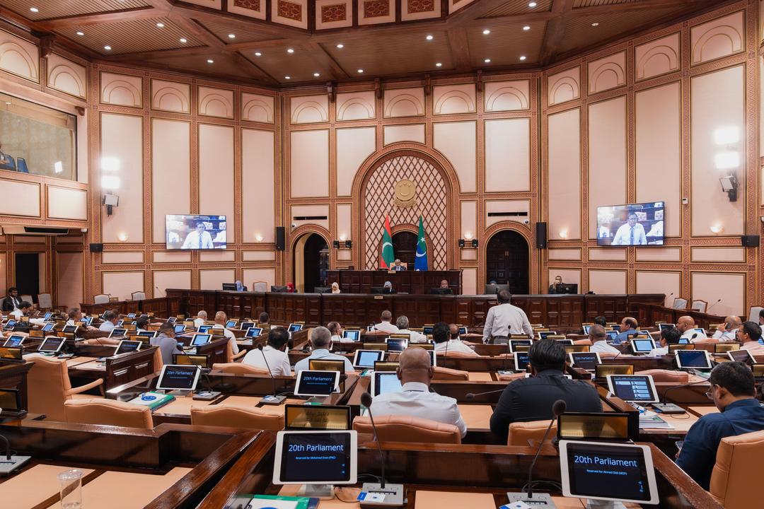 އެސްއީޒެޑް ގާނޫނަށް އިސްލާހު ގެނައުމުގެ ބިލު މަޖިލީހުން ބަލައިގެންފި