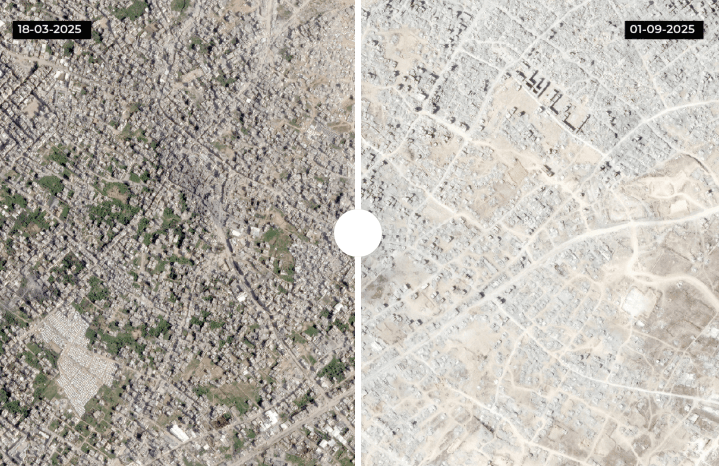 ޣައްޒާ ހާލަތާމެދު ދުވަހަކުވެސް ނުވާ މިންވަރަށް އަރަބިން ވަނީ ފެއިލް ވެފައި: ހަމާސް