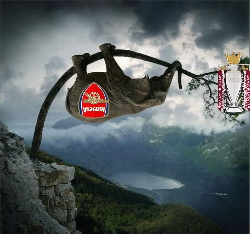 ޗެލްސީއިން އެލިފެންޓް ގަހުކުރިޔަށް އަރުވައިދީފި