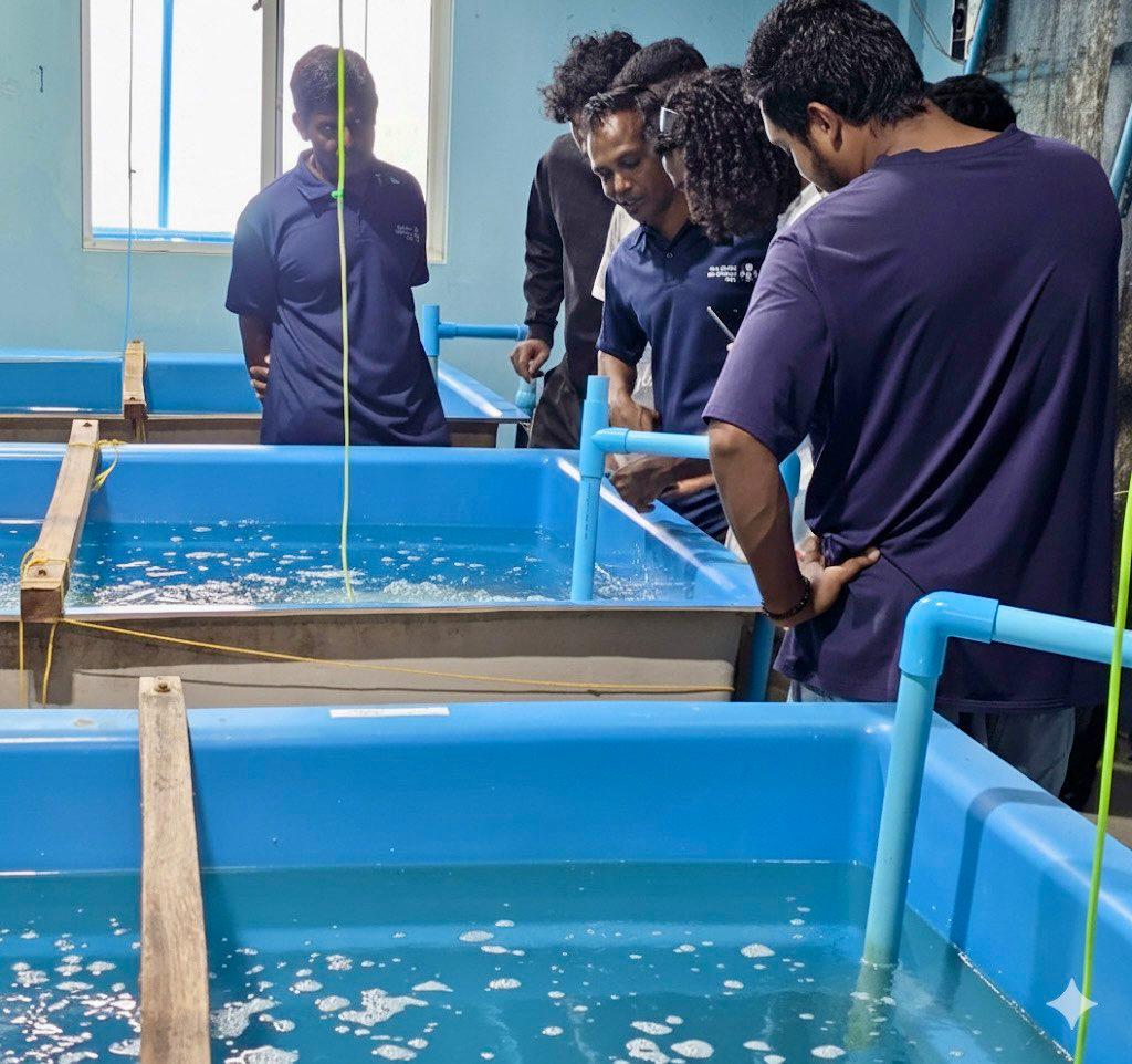 ފާނަ އާލާކުރުމުގެ ޕްރޮގުރާމެއް މަނިޔަފުށީގައި ފަށައިފި