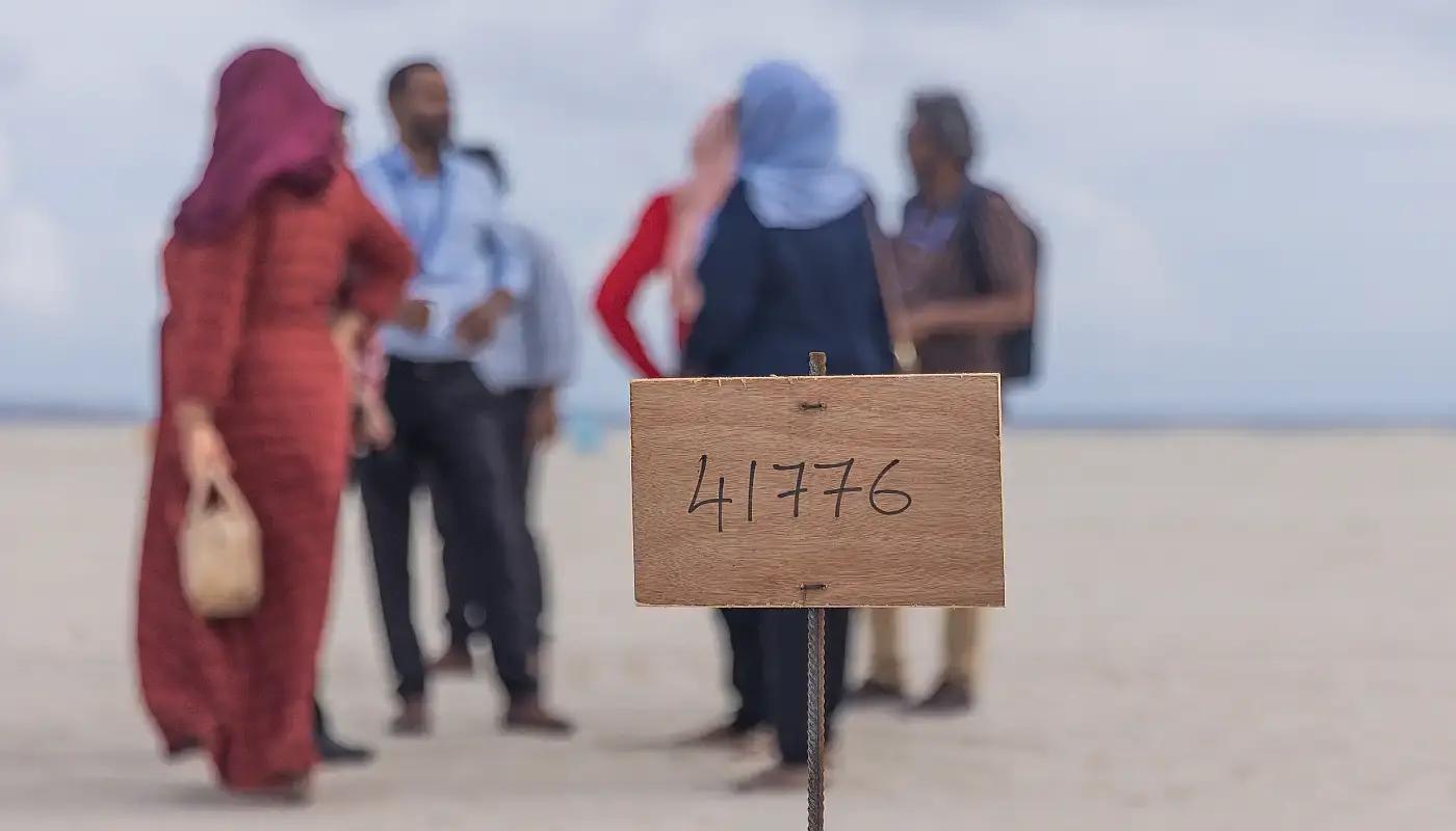 ޖަނަވަރީމަހު ފްލެޓާއި ގޯއްޗަށް ކުރިމަތިލާން ހުޅުވާލަނީ 