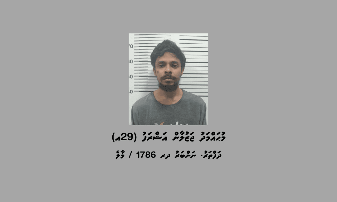 އަނިޔާ ކުރާކަމުގެ ރިޕޯޓެއް ލިބުމުން ދިޔައިރު ފެނުނީ 17 ކިލޯއަށްވުރެގިނަ މަސްތުވާތަކެތި!