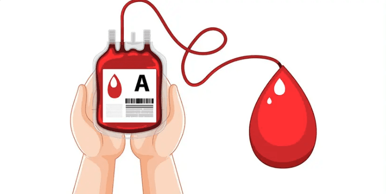 ބޯންމެރޯ ޓްރާންސްޕްލާންޓު ހެދުމަށް ޒަކާތު ފަންޑުން ތިން އަހަރު ތެރޭ 24 މީހަކަށް އެހީވި