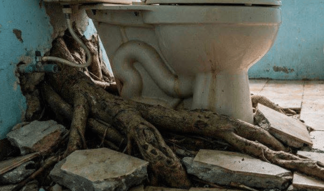 ވިލިމާލޭގައި ނިކަގަހެއްމޫތައް ފާޚާނާއެއް ތެރެއަށް ވަދެފައި، 