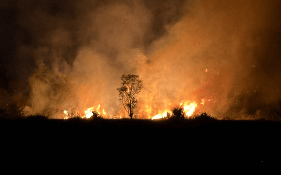 ފުވައްމުލަކު ފުނާޑު އަވަށު ޗަސްބިން ސަރަޙައްދުގައި އަލިފާން ރޯވެއްޖެ