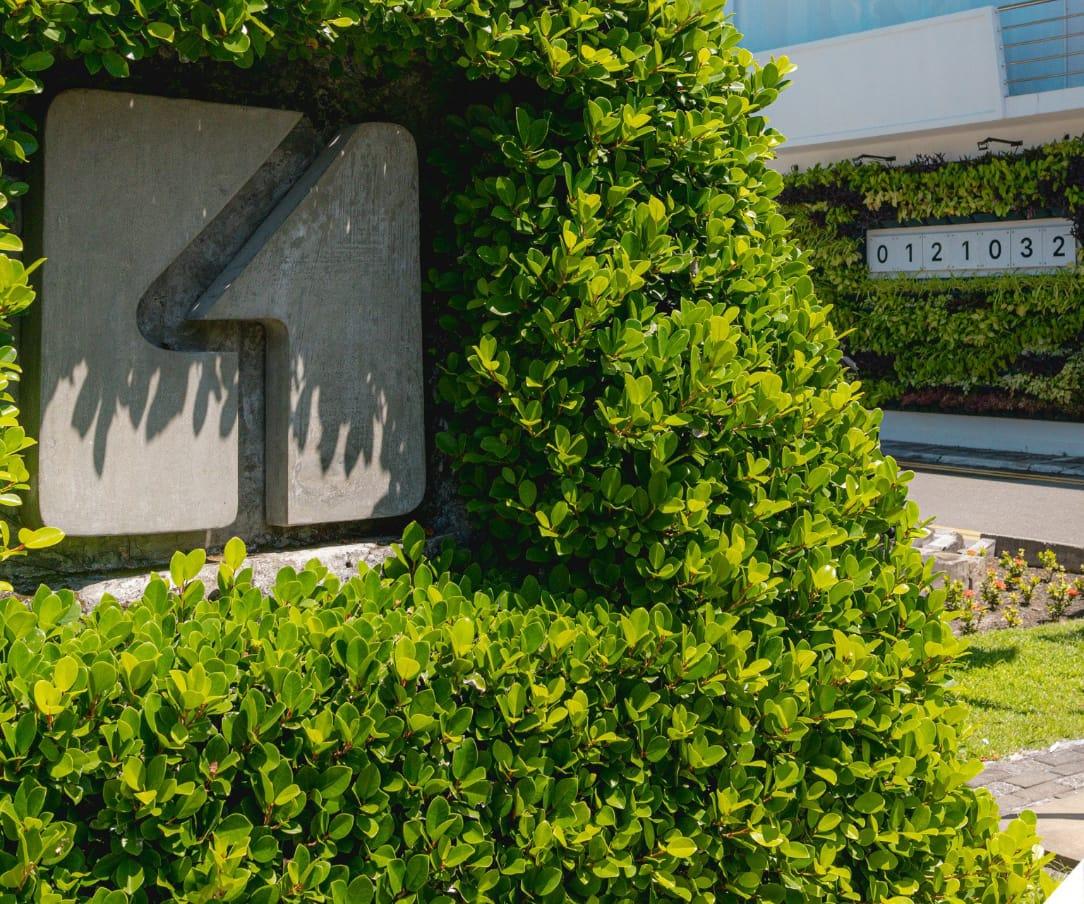 ފަސް މިލިއަން ގަސް މަޝްރޫއު: އެޗްޑީސީން 121،032 ގަސް އިންދައިފި