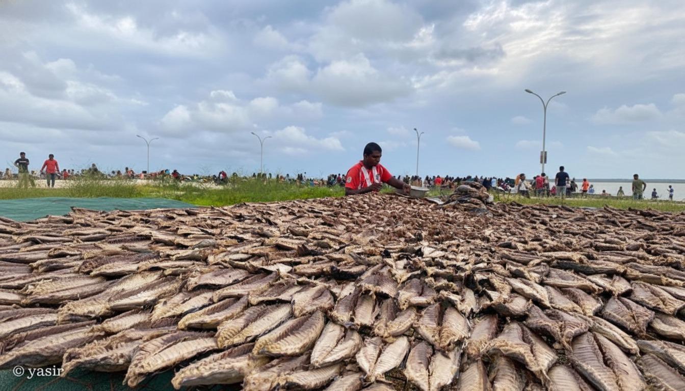މަހުގެ ބާވަތްތަކުގެ އުފެއްދުންތައް އިތުރު ކުރުމަށް 'މަހަ މަންފާ' ނަމުގައި ފައިނޭންސިންގ ސްކީމެއް ތައާރަފްކޮށްފި