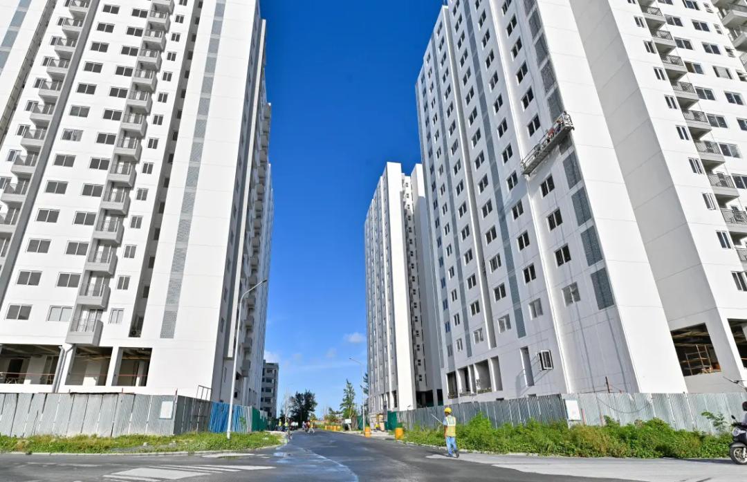 އަމާން ދޯދި އަދި އަމާން އުދަރެހުގެ ޓަވަރުތަކުގެ ތަޅުދަނޑި ހަވާލުކުރުމުގެ މަސައްކަތް ފަށައިފި 