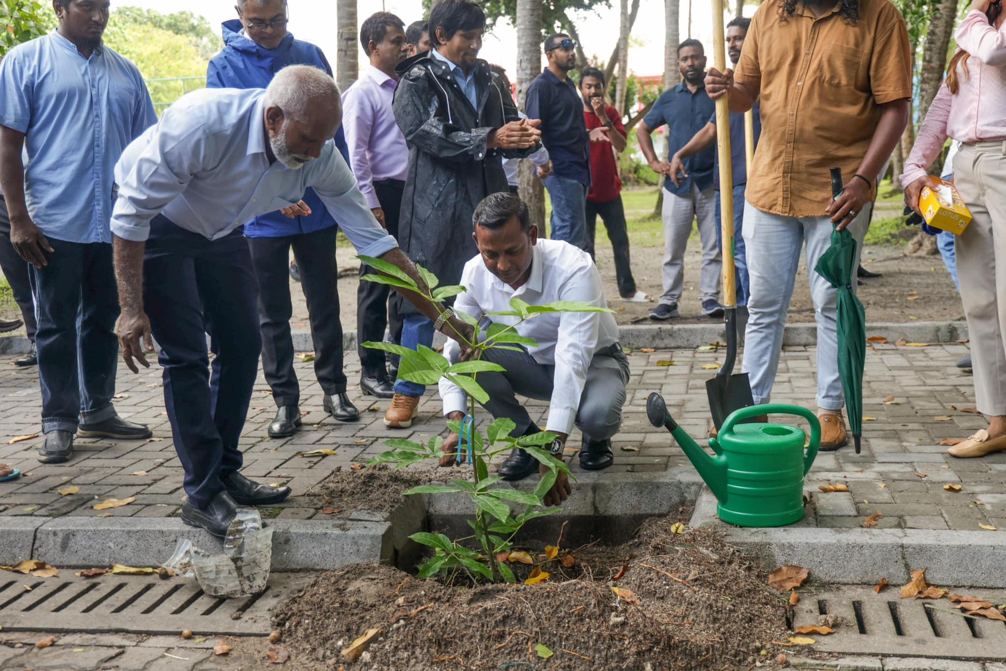 ވިލިމާލޭގައި ގަސް އިންދުމުގެ ބޮޑު ހަރަކާތެއް،  ރާއްޖޭގައި އެންމެ ގިނައިން ހައިވަކަރު ގަސް ހުރި ރަށަކަށް ވިލިމާލެ