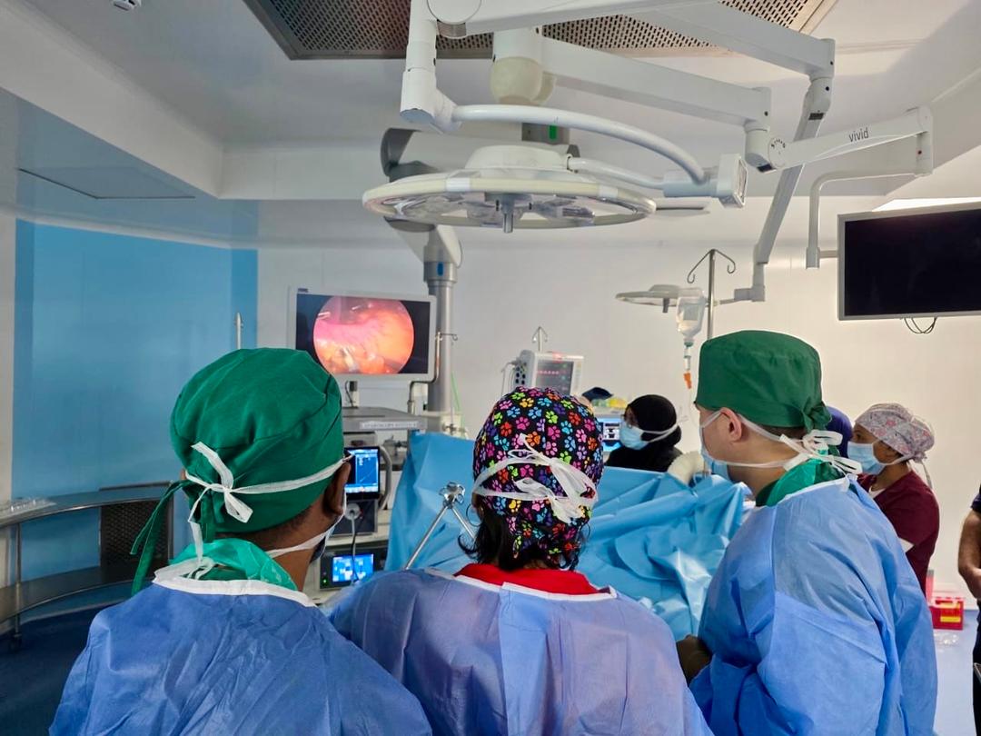 އައިޖީއެމްއެޗްގައި، ބަރުދަން ލުއިކުރާ ސާޖަރީ ކާމިޔާބުކަމާއެކު ކޮށްފި