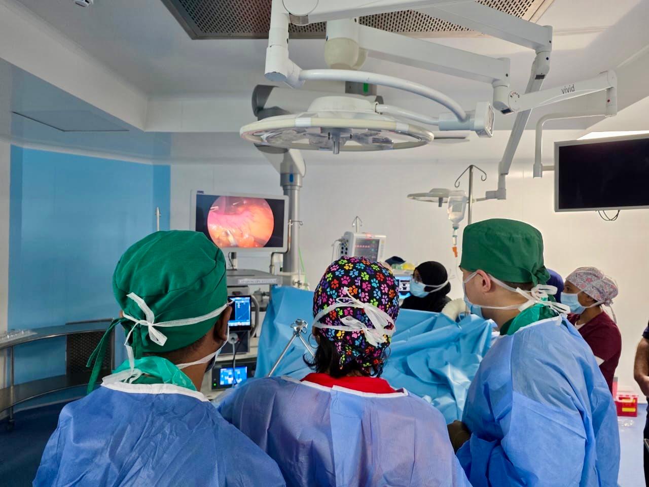 އައިޖީއެމްއެޗްގައި، ބަރުދަން ލުއިކުރާ ސާޖަރީ ކާމިޔާބުކަމާއެކު ކޮށްފި