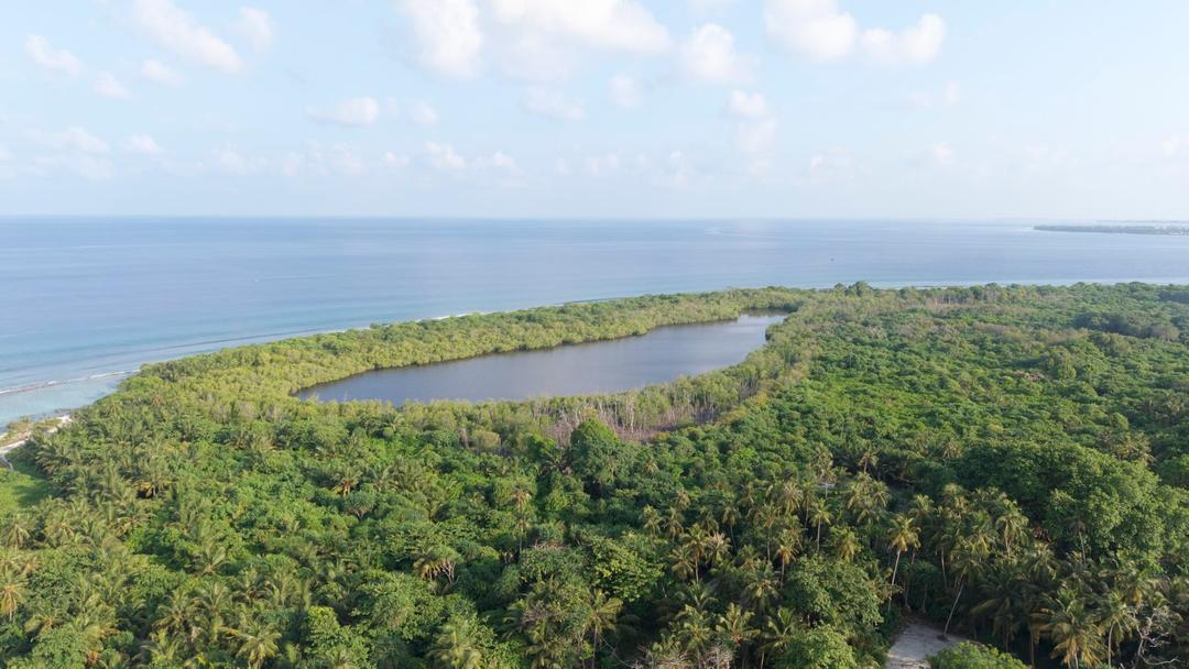 ނޮޅިވަރަމު ކުޅި ސަރަޙައްދުގައި ޕްލެޓްފޯމްއެއް ތަރައްޤީކުރަނީ