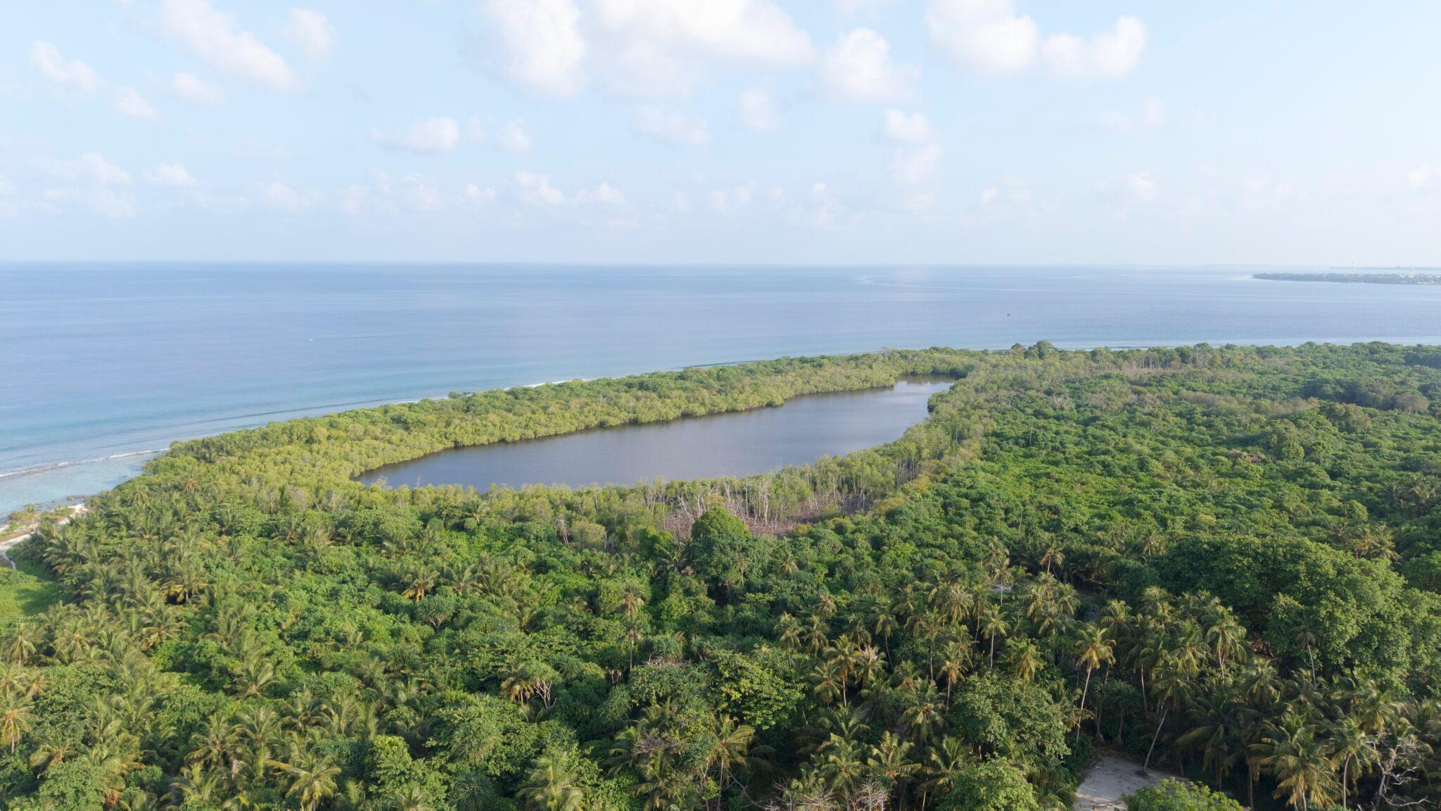 ފޮޓޯ: ހަފްސީ