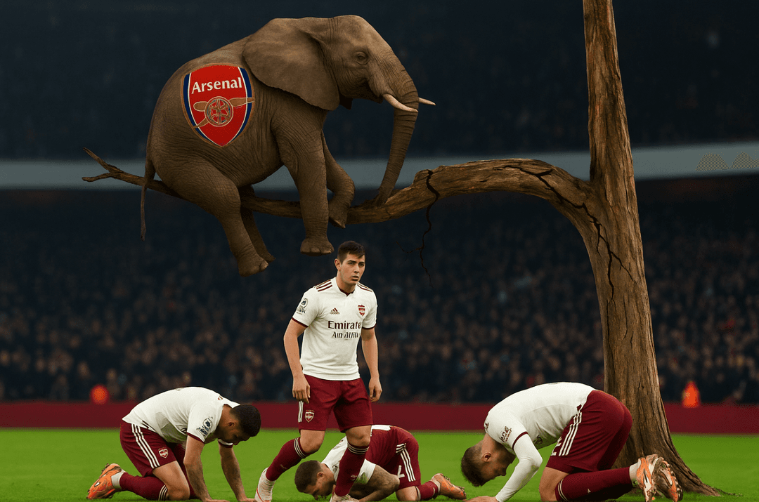 ތިންމަސްފަހުން އެލިފަންޓް އަރައިއޮތް ގަހުގެގޮފިތަކަށް ކެތްނުވެ ރެނދުލާންފަށައިފި