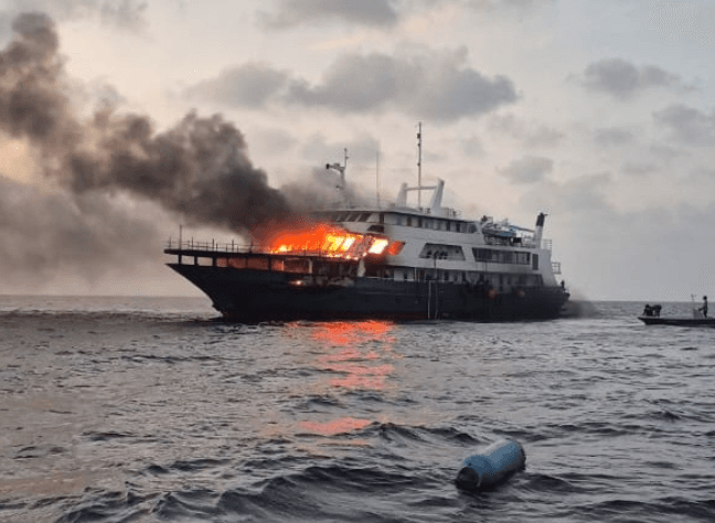 ސަފާރީއެއްގައި އަލިފާން ރޯވެގެން ސިފައިން ހަރަކާތްތެރިވަނީ