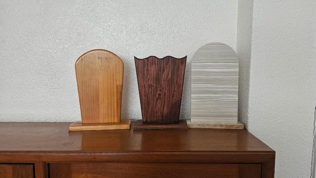 ސުތުރާގެ ގޮތުގައި ހާއްސަަ އެއްޗެހި ހަދާފައި ބެހެއްޓުން ރަނގަޅެއް ނޫން: ފަތުވާ މަޖިލީސް