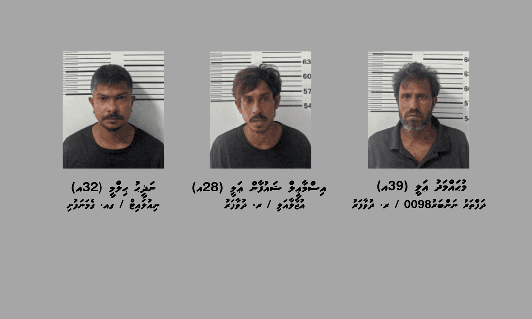 މަސްތުވާތަކެއްޗާއެކު ދުވާފަރުން ތިން މީހަކު ހައްޔަރުކޮށްފި