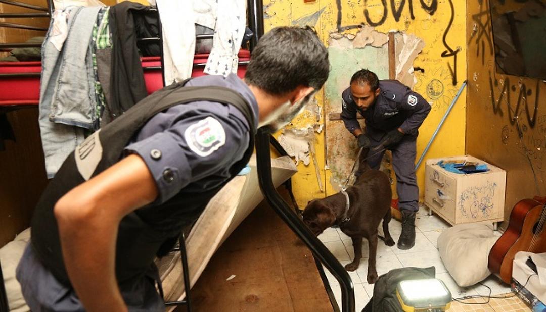 11 އައްޑާ ބަންދުކޮށް 997 މީހަކު ހައްޔަރުކޮށް، 875 މިލިއަން ރުފިޔާގެ މަސްތުވާތަކެތި މި އަހަރު އަތުލައިގެންފައިވޭ