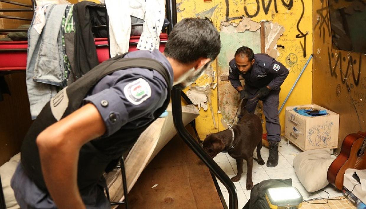 11 އައްޑާ ބަންދުކޮށް 997 މީހަކު ހައްޔަރުކޮށް، 875 މިލިއަން ރުފިޔާގެ މަސްތުވާތަކެތި މި އަހަރު އަތުލައިގެންފައިވޭ