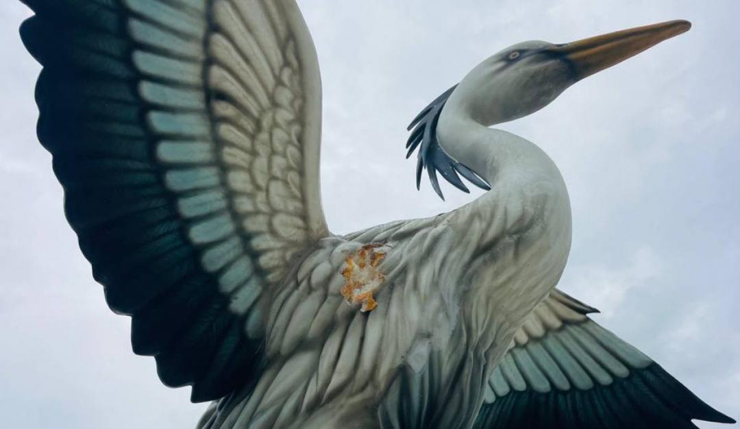 ދިރޭތަކެތީގެ ސޫރަ ސިފަވާގޮތަށް މޮނިއުމަންޓްފަދަ ތަކެތި ހެދުމާއި ބެހެއްޓުން ޙަރާމް: ފަތުވާ މަޖިލީސް