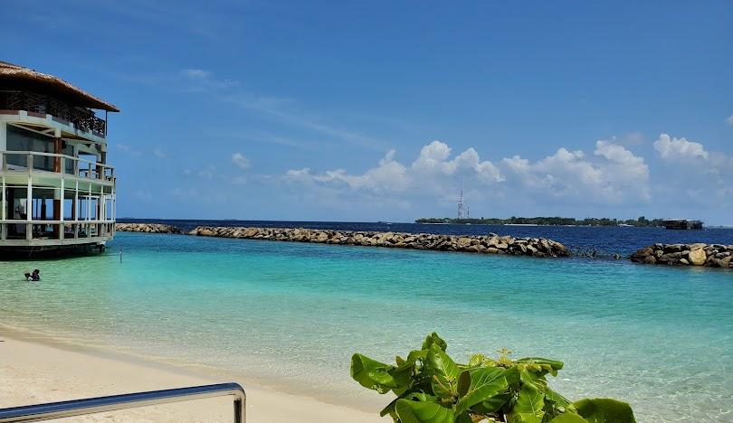        ރަސްފަންނަށް މޫދަށް އެރުން ވަގުތީގޮތުން މަނާކޮށްފި