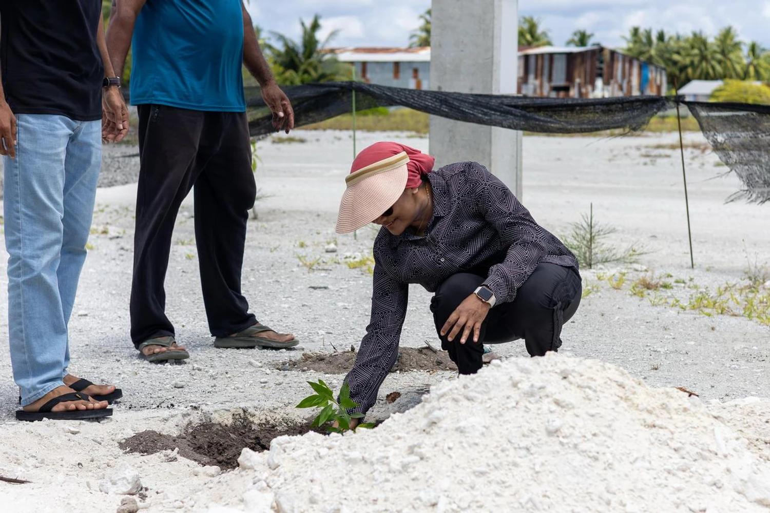 ވަޒީރު ޑރ. މަރްޔަމް މާރިޔާ ޙޯނޑެއްދޫގައި އޮތް ގަސް އިންދުމުގެ ހަރަކާތުގައި ބައިވެރިވެވަޑައިގަންނަވަމުން