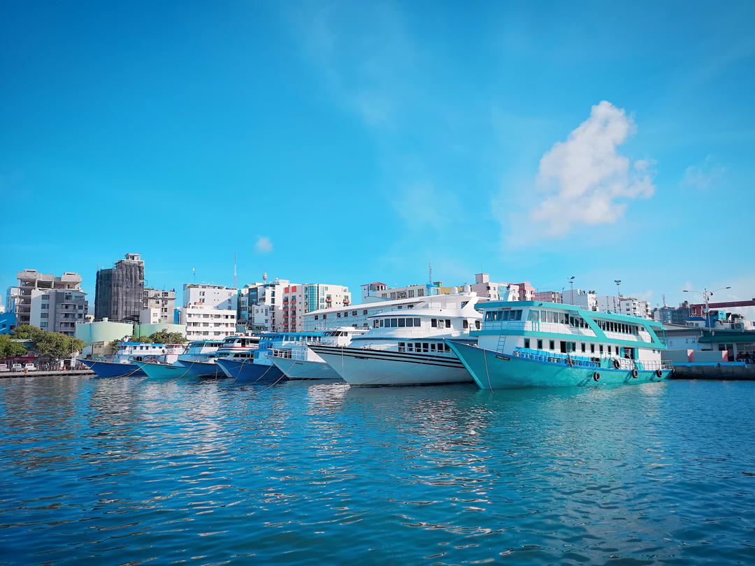 ފަޅުގައި އޮންނަ އުޅަނދުތައް ބަލަހައްޓަން  ފަޅުވެރިން ނެތްނަމަ ފިޔަވަޅު އަޅާނަން