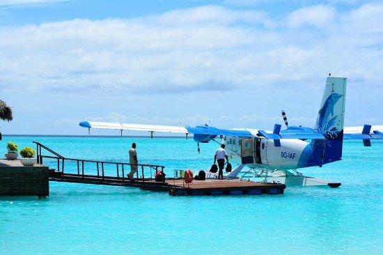 މޯލްޑިވިއަން ސީޕްލޭންގެ ދަތުރުތައް ފުޅަދުއަށް