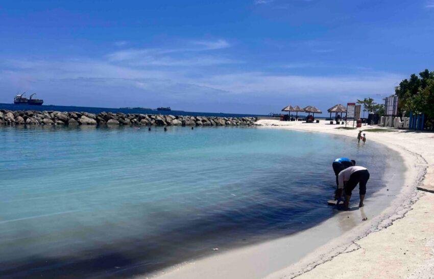 ރަސްފަންނު ސަރަހައްދަށް މޫދަށް ނޭރުމަށް އިލްތިމާޞްކޮށްފި 