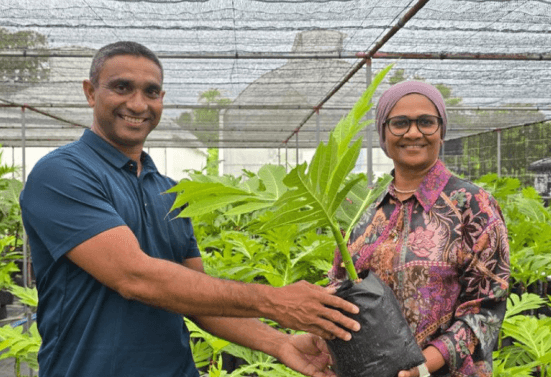 ހަނިމާދޫ ކައުންސިލަށް 50 ބަނބުކެޔޮ ގަސް ހަދިޔާކޮށްފި 