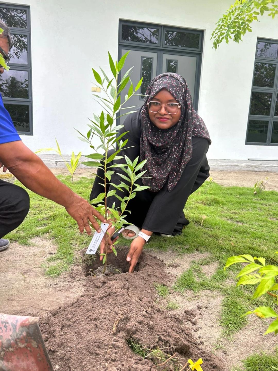 ފަސް މިލިއަން ގަސް އިންދުމުގެ ޕްރޮގްރާމުގެ ދަށުން ދިގުރަށުގައި ގަސް އިންދައިފި
