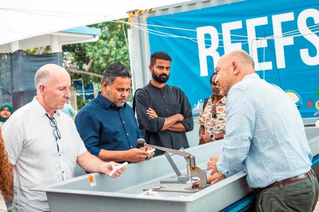 މެރިކަލްޗާއަށް ހާއްސަ 5 ޒޯނެއް ކަނޑައަޅައިފި