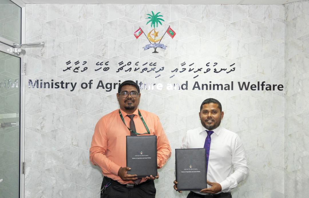 ގައުމީ ފެންވަރުގައި ފުޑް ސެކިއުރިޓީ މަޝްރޫއު ފެށުމަށް ބިން ހަވާލުކޮށްފި