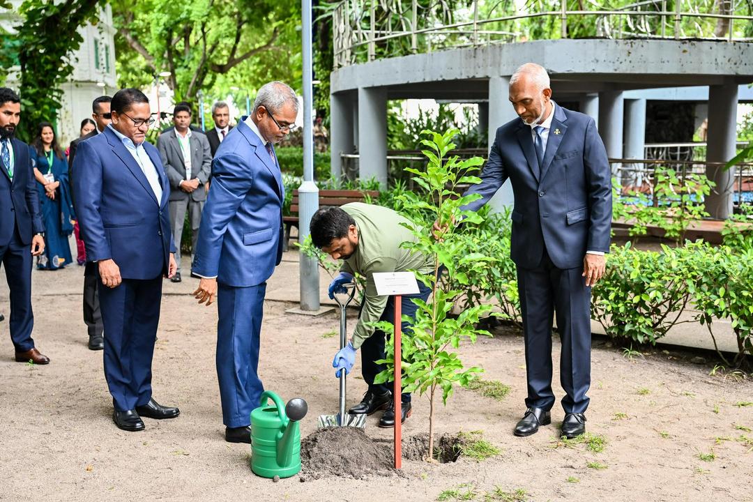 ފަސް މިލިޔަން ގަސް ޕްރޮގްރާމުގައި ސްރީލަންކާގެ ރައީސް ގަހެއް އިންދަވައިފި