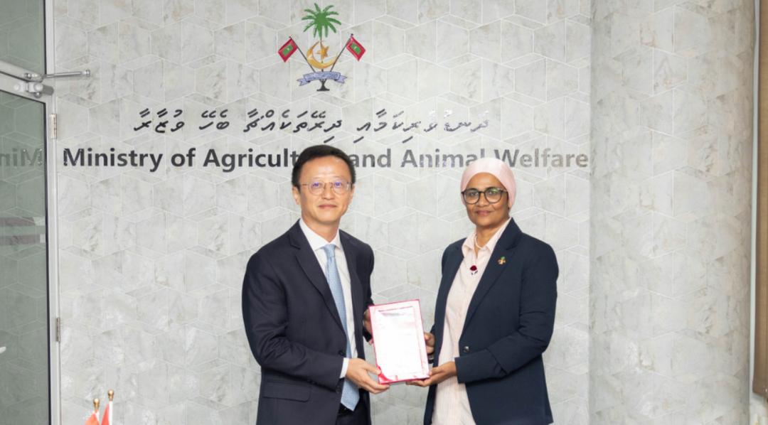 ރުކުގެ ބައިތަކަށް ގެއްލުންދޭ ޕެސްޓު ކޮންޓްރޯލް ކުރުމަށް ޗައިނާއިން އެހީވަނީ 