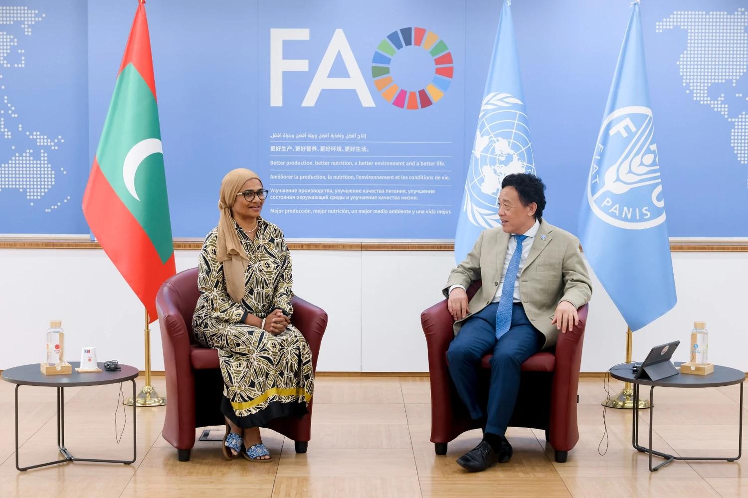 ރާއްޖޭގައި 10 އަހަރުގެ ދަނޑުވެރިކަމުގެ މާސްޓާ ޕްލޭނެއް އެކުލަވާލަނީ 