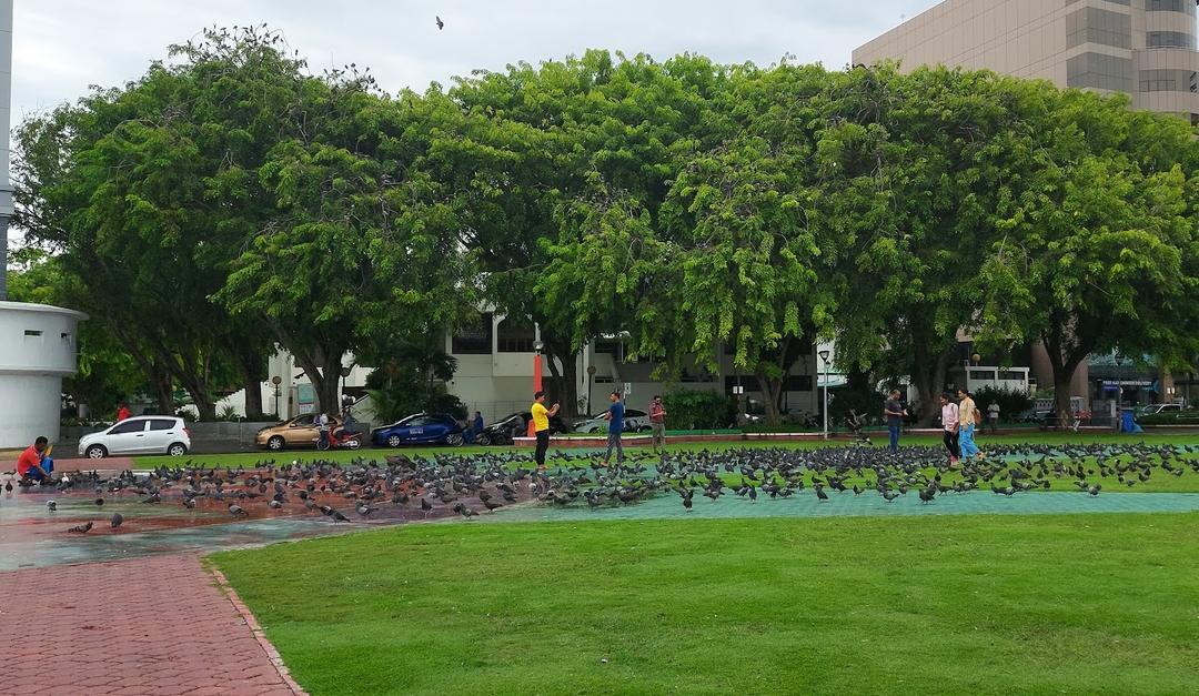 މިއަދާއި މިރޭގެ ވަކި ގަޑިތަކެއްގައި ޖުމްހޫރީ މައިދާން ހިމެނޭ ސަރަހައްދު ބަންދު ކުރަނީ 