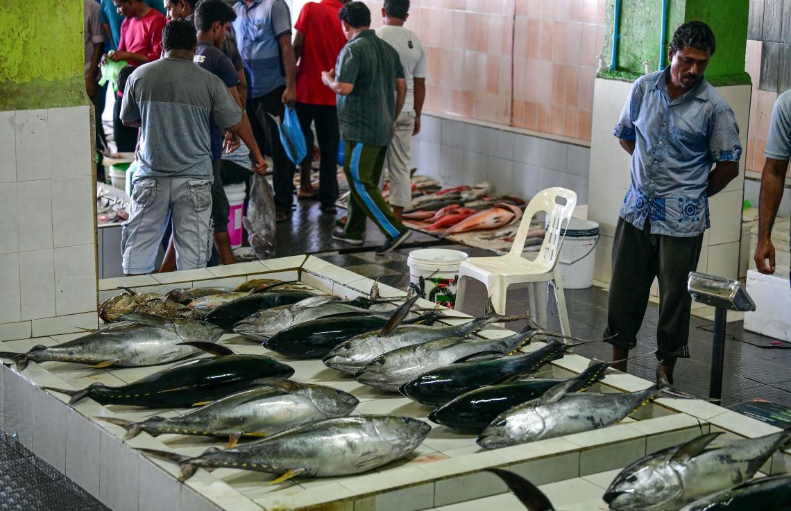 މަސްމާރުކޭޓު އިމާރާތުގައި ގަވާއިދާ ހިލާފަށް ވިޔަފާރި ކުރާނަމަ، ފިޔަވަޅު އަޅަނީ