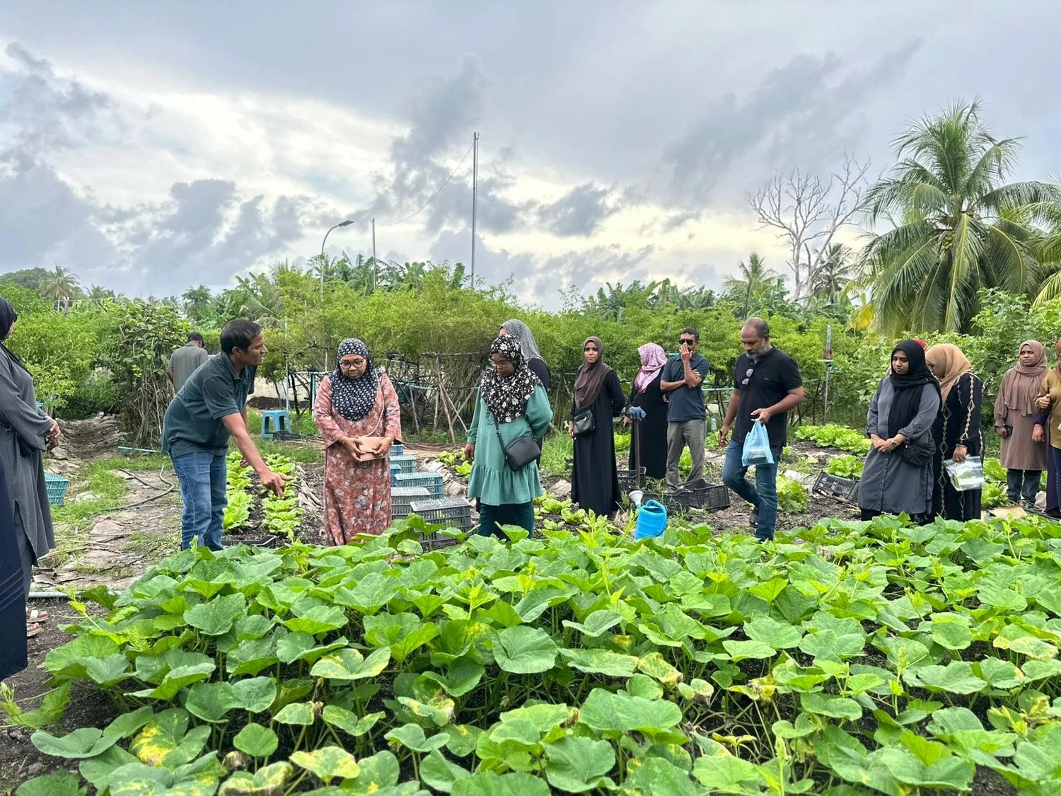  ފުވައްމުލަކު ދަނޑުވެރިން އެދުނު ތަމްރީންތައް ފޯރުކޮށްދީފި