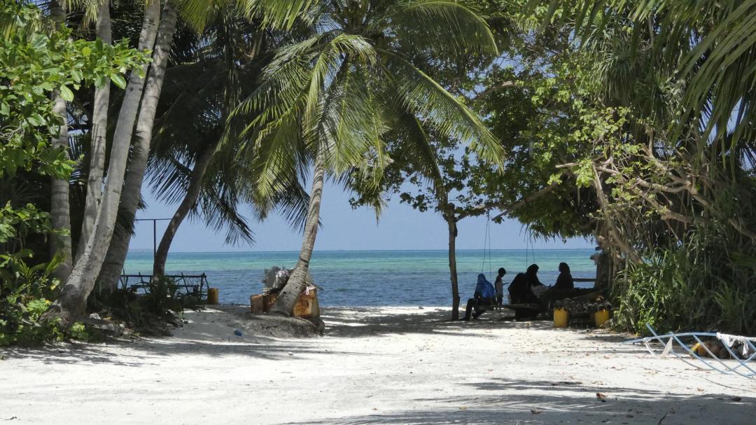 ވަގުރުކު އަޅައިގެން ރަށުތެރެއަށް ވިއްކާތީ، މާފަރު ކައުންސިލުން ކަންބޮޑުވެއްޖެ 