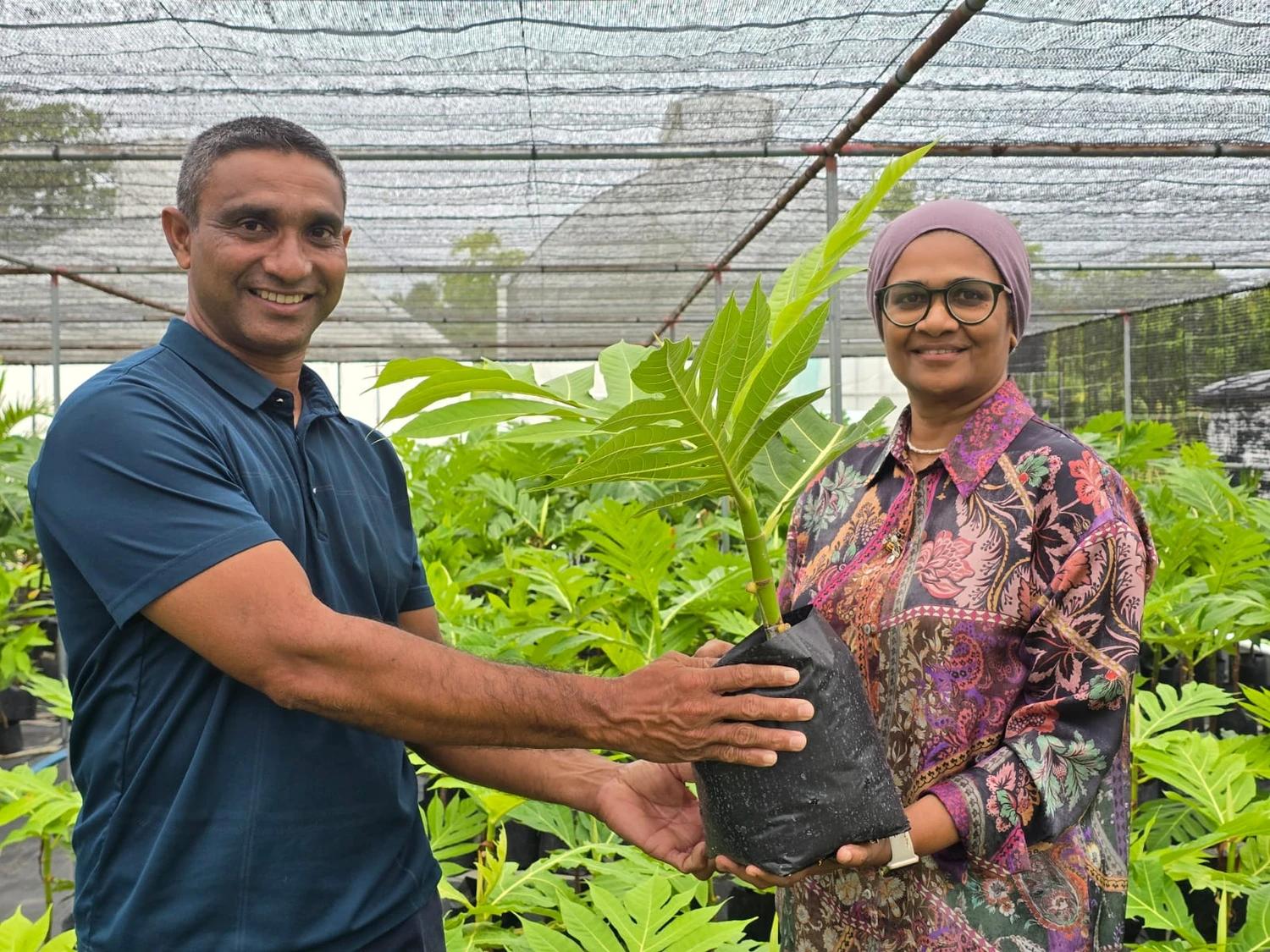 ފުޑް ސެކިއުރިޓީ ޕްރޮގްރާމްގެ ދަށުން ށ. އަތޮޅުގެ 4 ރަށަކަށް ހާހަކަށްވުރެ ގިނަ ގަސް ފޮނުވައިފި