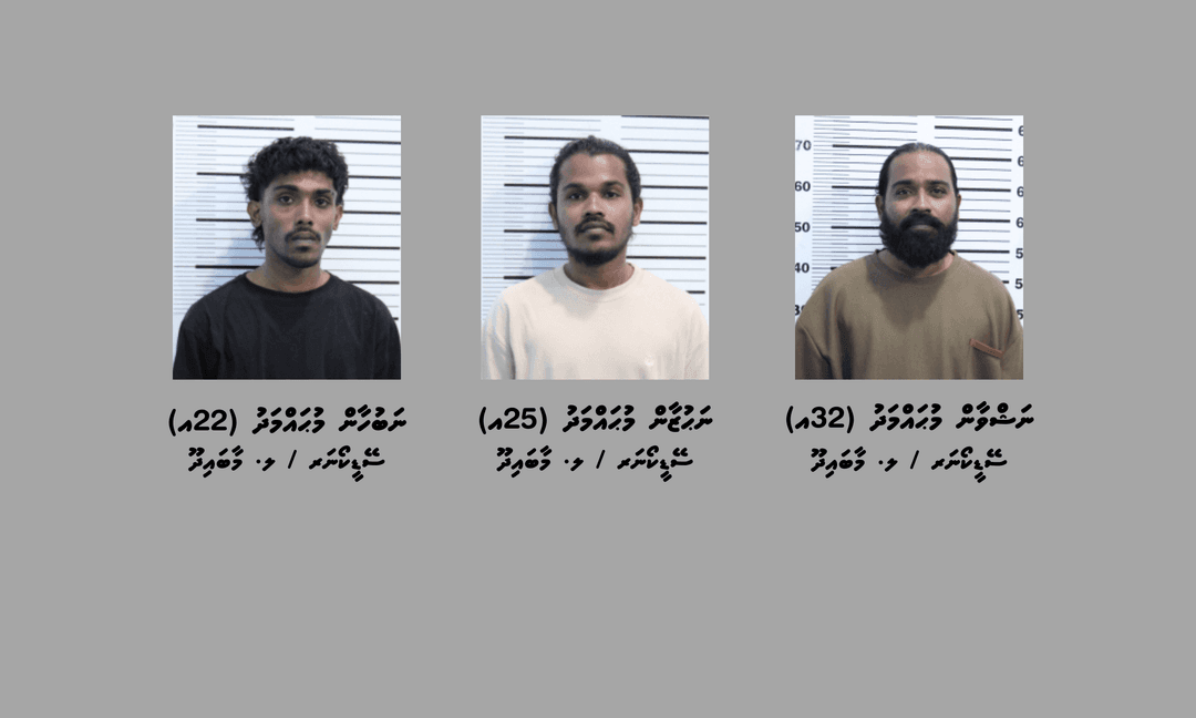 ގިނަ އަދަދެއްގެ ވޭޕާއި މަސްތުވާތަކެއްޗާއެކު ތިން ބެއިން ހައްޔަރުކޮށްފި